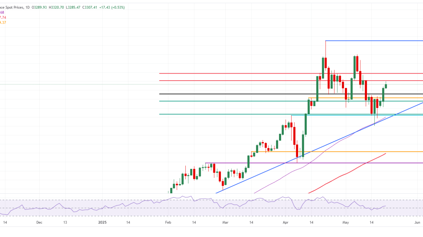 Gold price rally hits curb at technical resistance while making over 3%