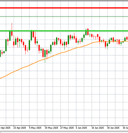 Gold price rises to another record high