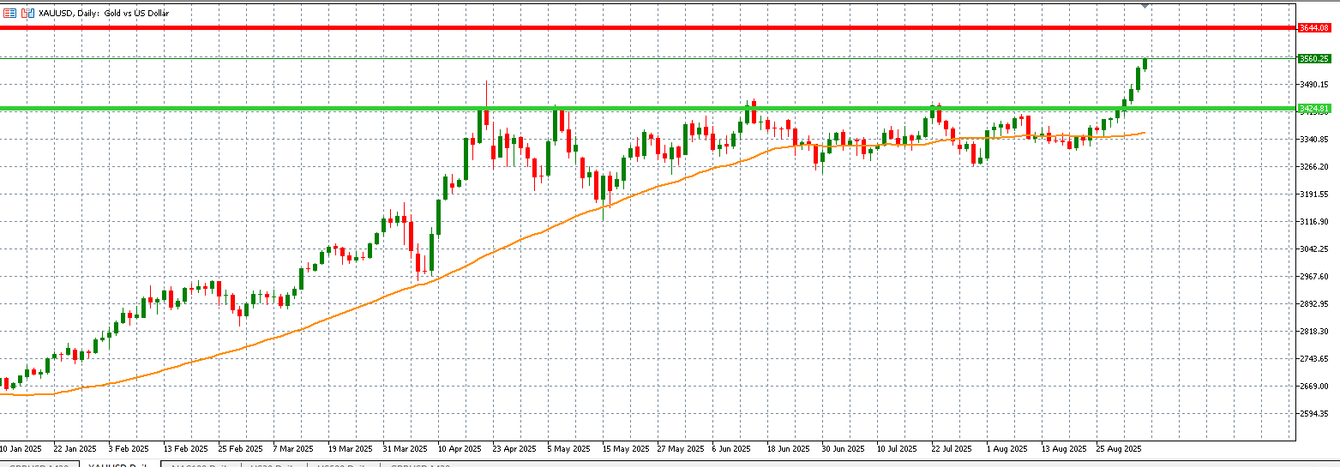 Gold price rises to another record high