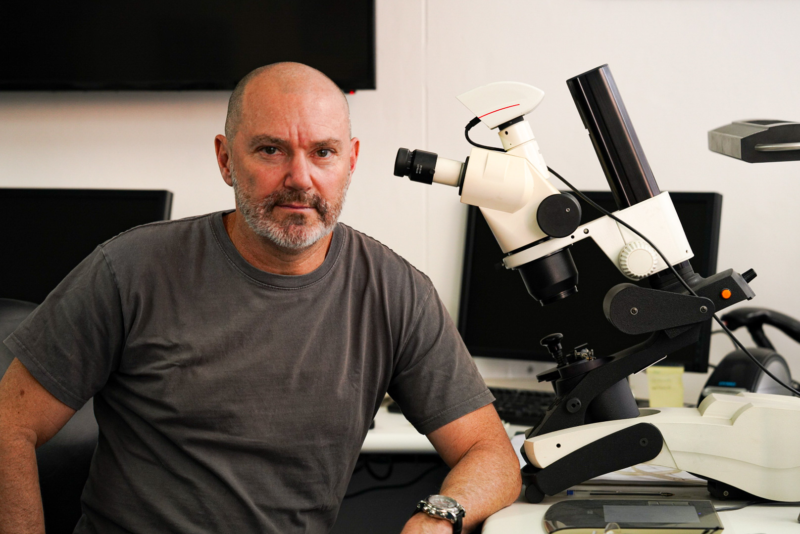 Roy Cohen